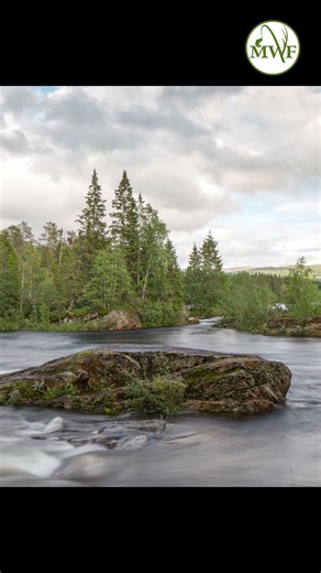 2026 World Rivers Day