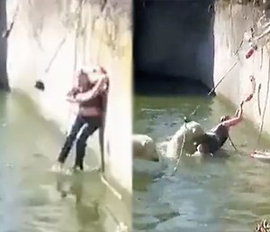 She Ain’t Doing That Again: Woman Gets Attacked By A Polar Bear After Jumping Into The Animal Exhibit At The Zoo!