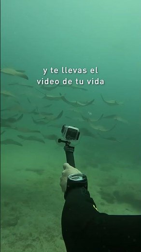 Buceo en Los Cabos