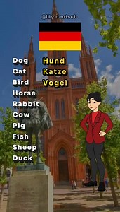 Practice animals in German 🇩🇪 #germanteacher #german #deutsch #learngerman #fyp | Deutsch Now