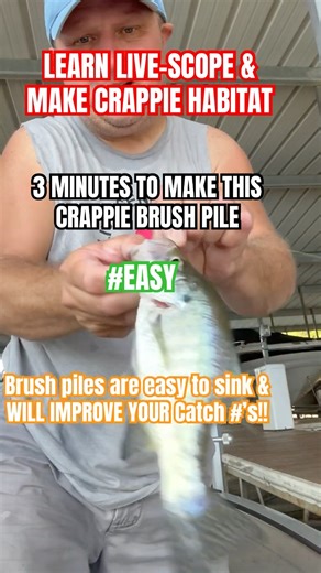 #crappiebeds #brush #piles #viralvideo #crappiefishing #bassfishing #fishing #crappie #fish #dog #hi