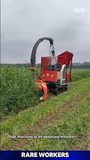 Giant Harvester Clearing an Entire Corn Field. An incredible display of efficiency.