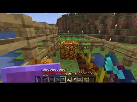 Minecraft Hardcore 1.21.11 Gameplay Link tests totem of undying and trades with villagers