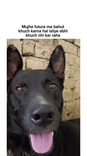 Future me abhi bahut khuch karna hai 😎🙌🏻 #funny #memes #trending