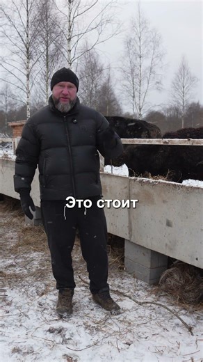 Why is steak SO expensive at a restaurant? #farm #animals #food #meat #nutrition #farming