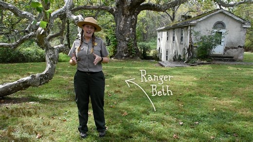 All About Trees - Activities for Kids (U.S. National Park Service)