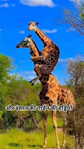 amazing facts #facts Baba