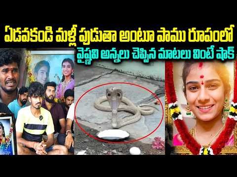 LIVE🔴 మళ్ళీ పుడతా అంటూ పాము రూపంలో వైష్ణవి | Youtuber Vaishnavi Latest News | Chitramala