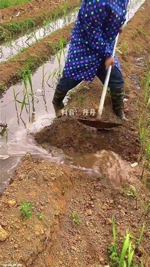 Water Diversion and Irrigation