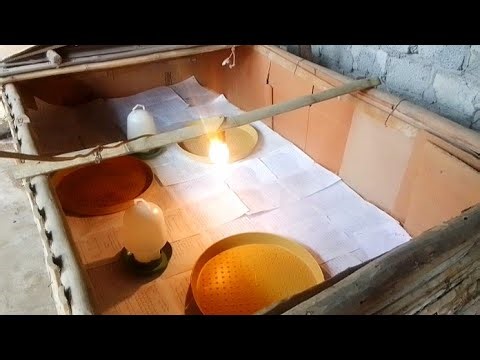 Efficient and low-cost chick brooding system / chicken farming diary