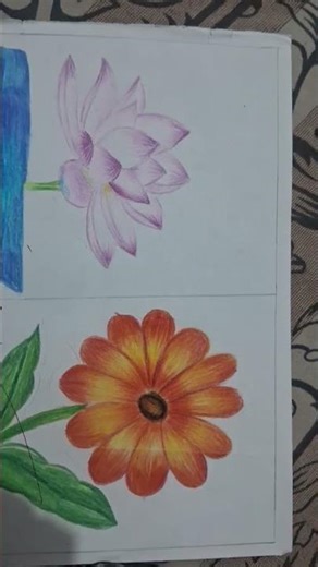 drawing for class 10th