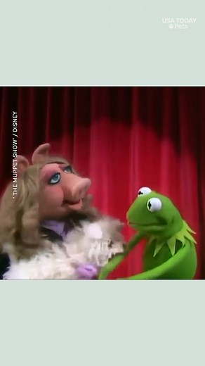 Kermit opens up about Miss Piggy’s dog Foo Foo and a moment that nearly cost him a flipper. | The Canton Repository / CantonRep.com