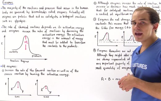 Andrey K - Biochemistry - Enzymes