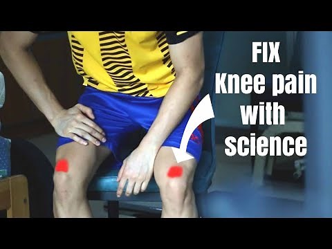 STOP Knee pain in 5 minutes!! | Physiotherapy | Quad tendinopathy | PhysioEvangelist