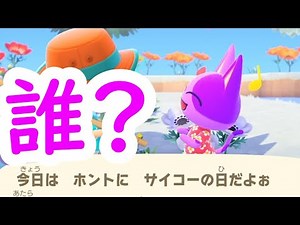 【あつ森】ニコバンって誰？人気なの？【離島 厳選】
