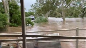 It's been a little over seven months since powerful flooding changed the landscape around the Fitzroy River in Western Australia's Kimberley region. Most of the people who live there are yet to return to their homes. Tallulah Bieundurry takes us on a journey to her hometown of Fitzroy Crossing with producer Hannah Murphy. | 7.30