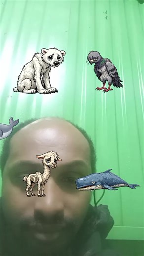 Alex andro (@solomonme0)’s videos with original sound - 24HBALL