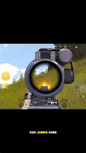 pura bio data 😁🤘. #trending #bgmi #viral