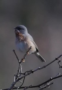 Wild Italy: Living With Volcanoes S01:E01 - Volcanic Waters