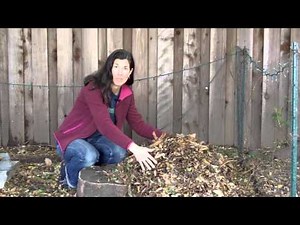 Fungal Wood Pile for Compost