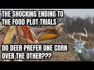 GRAND FINALE IN THE MEGA FOOD PLOT TRIALS... DEER HUNTERS, FOOD PLOTTERS, LAND MANAGERS, MUST SEE!
