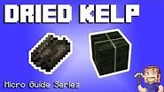 Dried Kelp - Minecraft Micro Guide-0