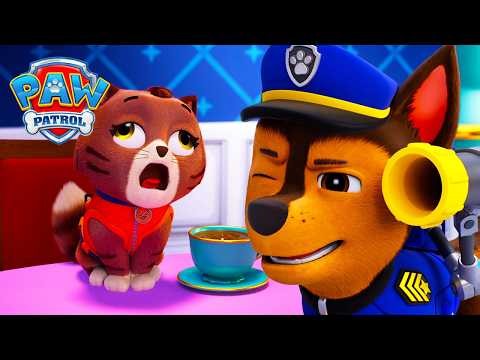 Uh-Oh! Tea Party Trouble! ☕ Can PAW Patrol Fix It? | PAW Patrol | Compilation