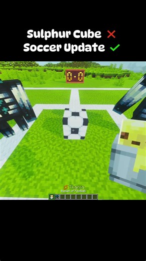 Soccer Football Minecraft Moments