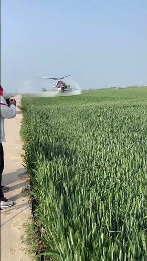 Helicopter Spray Fertilizer #agriculture