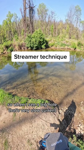 How to approach a perfect streamer hole. #flyfishing #streamerflyfishing #fishing #flyfishingtrout #trout #flyfishdelawhere #flyfishingtiktok #streamerfishing #flyfishingtechniques #flyfishinglesson #flyfishingtips