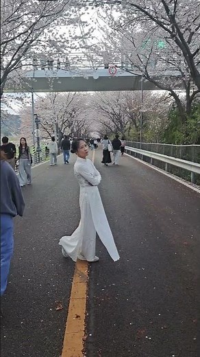 베트남 전통의상 아우다이