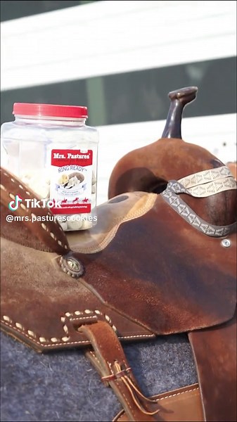 Your horse when they get their first Mrs. Pastures® cookie of the day: 😍🤩🤤 #cookie #horsecookie #horsetreat #treat #horseshow #equine #dressage #hunterjumper #showjumping #jumpers #hunters #eventing #horseshow #barn #horsebarn #equestrian