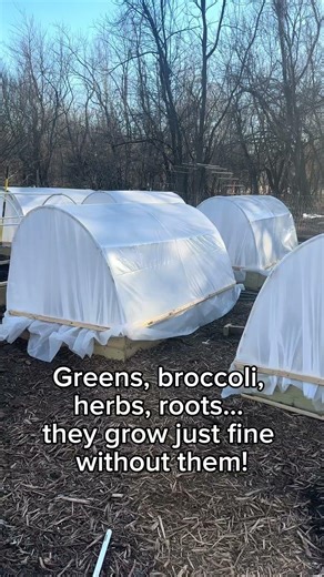 How Does Pollination Work Inside a DIY PVC Dome Hoophouse?