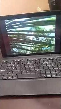 Sesame Street Kids Explore a wild Letter C