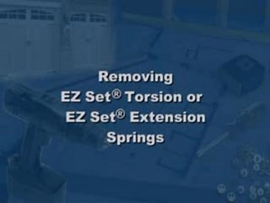 Removing EZ Set Torsion or Extension