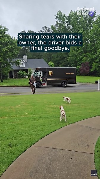 Watch UPS driver's emotional farewell to dogs on his last delivery stop