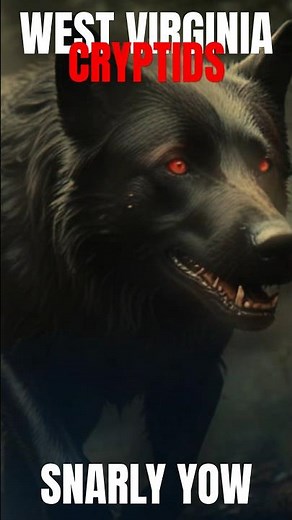 WEST VIRGINIA CRYPTIDS UNCOVERED | THE SNARLY YOW #cryptids #cryptid #legends #paranormal #mystery