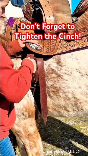 How to Tie and Tighten a Cinch 🐴