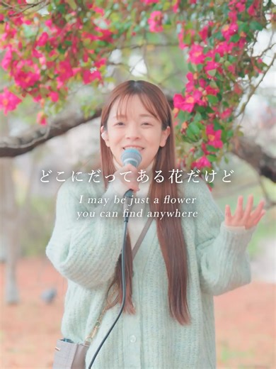 タンポポはまだ咲いていませんでしたが…！ 個人的には春のラインナップから外せない曲です。 モーニング娘。から派生したユニット「タンポポ」 メンバーが変わる前と後で歌い方が全然違っていて 石黒姉さんのかっこよさも、加護ちゃんのかわいさも どちらも魅力的で大好きです。 楽曲💿 たんぽぽ / タンポポ