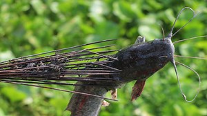 1.1M views · 5.8K reactions | Traditional Fish Hunting in Village With Bamboo Fishing Spear New System Fish Catching Old Fishing Technique | AB Fishing | Facebook