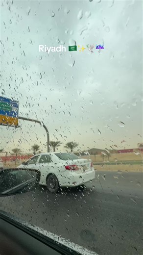 Riyadh Weather Forecast for Tomorrow: What to Expect