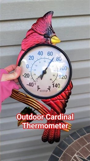 No Fuss Outdoor Cardinal Thermometer | Easy to Hang & Easy to Read 🌡️🐦