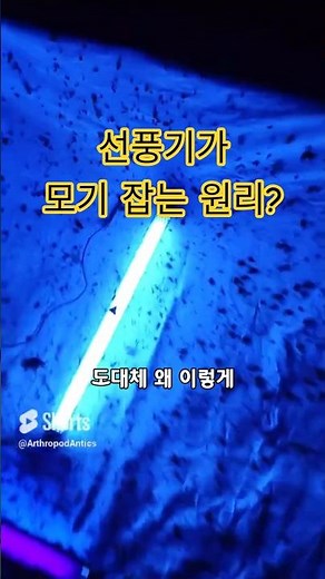 단돈 만 원으로 모기 싹쓸이! 모기의 습성과 물리 원리를 이용한 선풍기 모기 트랩의 천재적인 기술
