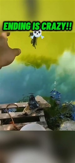 Ending is Crazy☠️ #shorts #trollface #animax