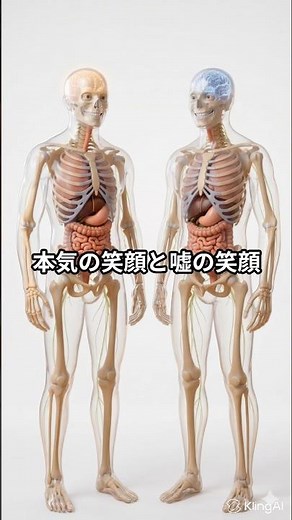脳は「嘘の笑顔」を見分けられない！？ #笑顔の効果#セロトニン#健康雑学