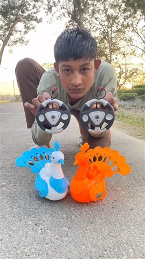 Rc 2 ta Remote Control peacock unboxing deko