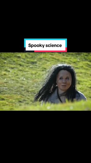 Exploring the Curious World of Crows with Science