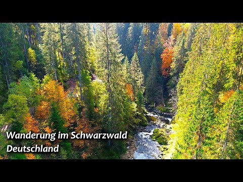 Wanderung im Schwarzwald - Schluchtensteig