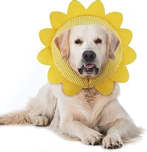 IEUUMLER Inflatable Recovery Dog Collar, Protective Donut Cone, Adjustable Soft Collar for Dog and Cat After Surgery Prevent from Biting & Scratching EU002 - Sunflower XL