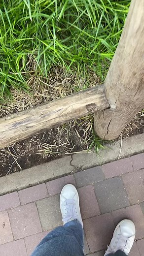 😩😰😰😳😳 #efteling #maxenmoritz #max #en #moritz #fyp #foryou #fy #spinnen